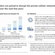 Private cellular networks infographic