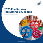 TBR 2025 Ecosystems & Alliances Predictions